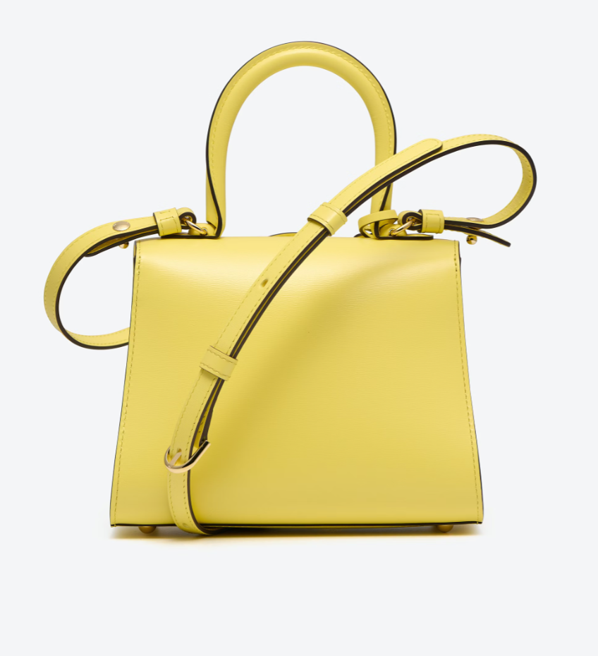 DELVAUX BOX CALD BRILLANT MINI IN SORBETTO